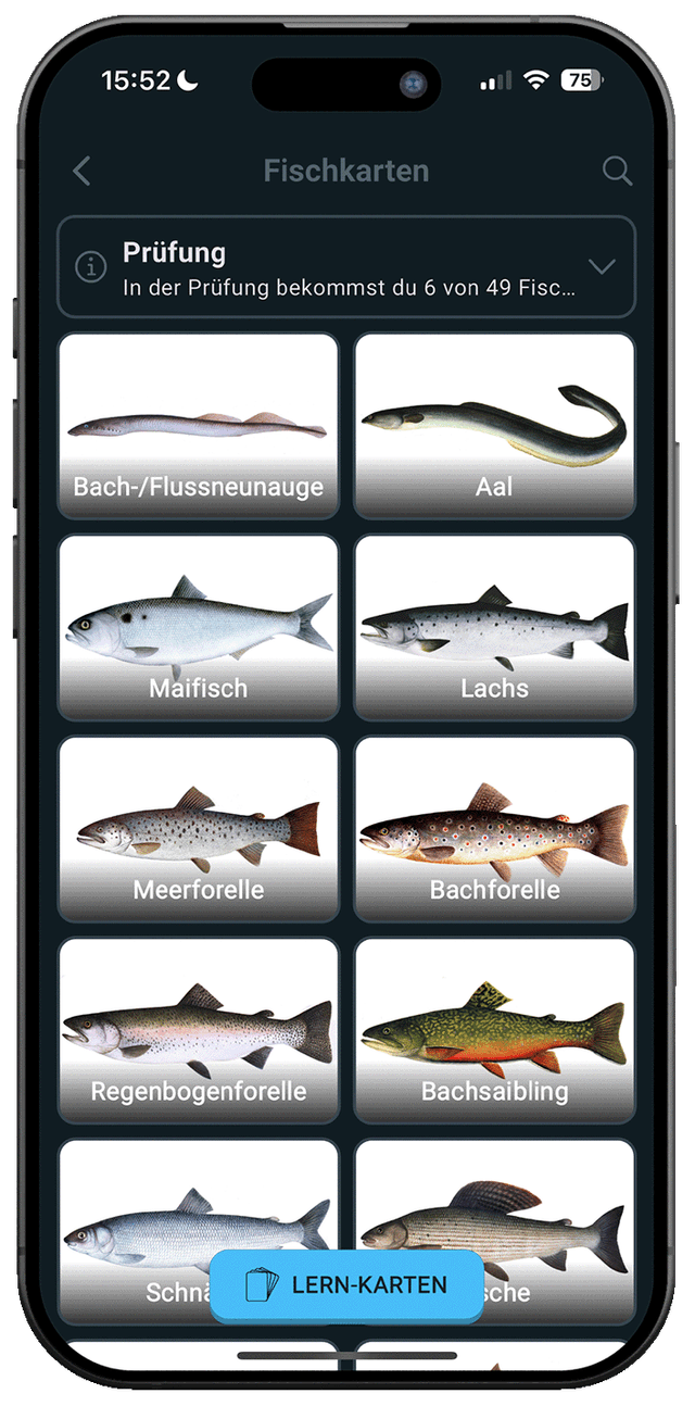 Angelschein Online Screenshot auf iPhone 2
